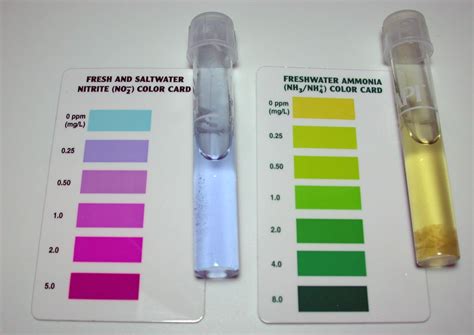 how to test water hardness for aquarium|aquarium water testing chart.